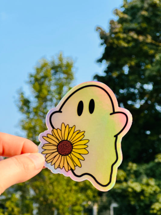 Holographic Ghost Sticker