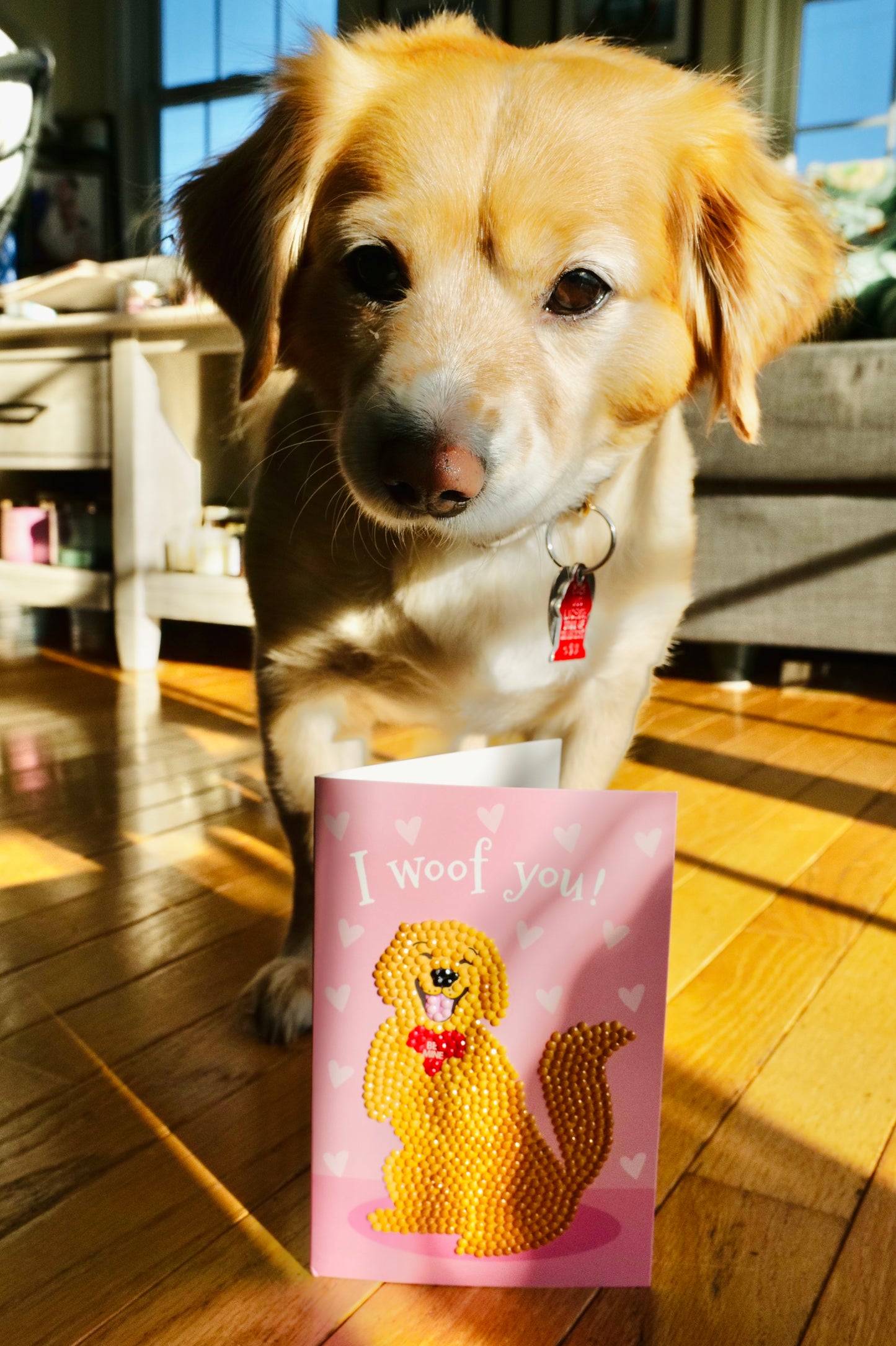 I Woof You Card